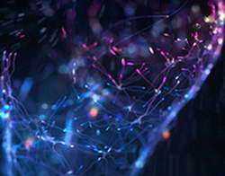 Как забронировать квартиру посуточно?