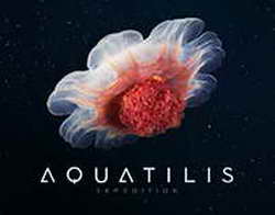 Фондовый рынок, Daily history за 23 октября 2025 г.